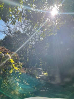 Cabana Austríaca no Vale Encantado